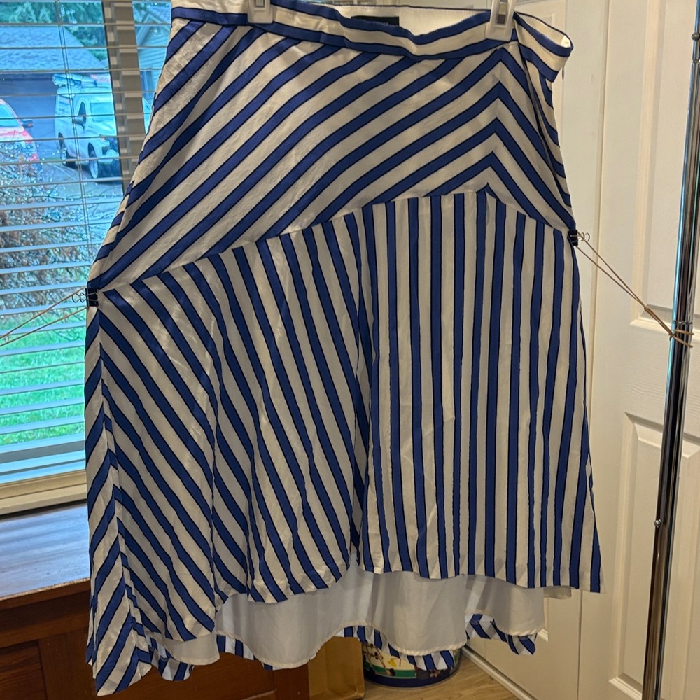 Ann Taylor Striped Blue and White Women's Skirt